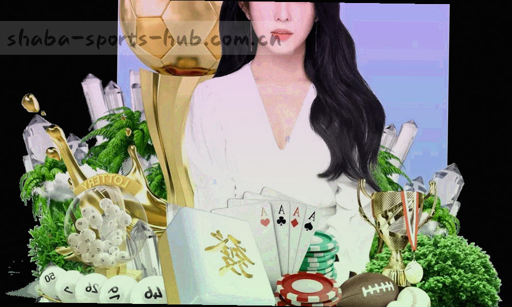 访问数据进入站内后被用于适配、排序与故障定位，并在到期后清理的抽象流向示意